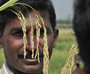 Rich farmers do not deserve fertiliser subsidy. — P. V. SIVAKUMAR