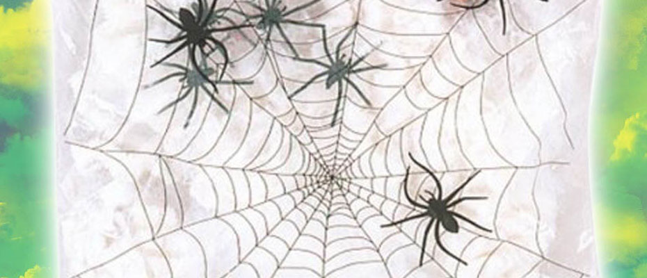 Clear Policy Cob-webs